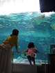 神戸市立須磨海浜水族園 アクセスよく一日遊べる水族館！