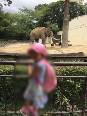 神戸市立王子動物園の写真s