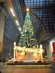 京都駅ビル 大階段に立つ大きなクリスマスツリー