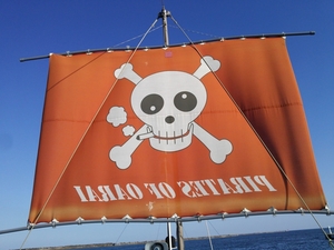 海賊船ダイビングパイレーツの写真h