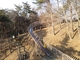 笠間芸術の森公園 ロ－ラー滑り台ダブル！どこから滑るかはあなた次第！！