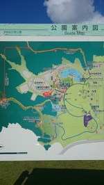 国営越後丘陵公園の写真w