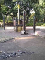 千葉県立柏の葉公園