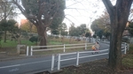 上千葉砂原公園の写真x