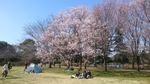 千葉県立柏の葉公園