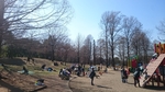 千葉県立柏の葉公園
