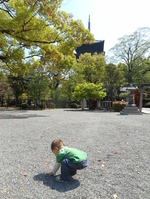 東寺