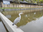 東寺