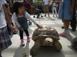 神戸どうぶつ王国の写真n