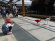 動物と直接触れ合えれる新しい動物園！の写真v