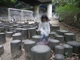神戸市立須磨離宮公園 大人も子供も楽しめる自然いっぱいの公園！