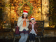 幻想的なイルミネーションスポットで特別なクリスマスをの写真z