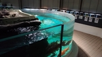 かすみがうら市水族館の写真k