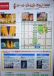 京都市内最大級！約８０万球の光と音楽の演出に大人も子どもも虜に。の写真r