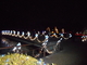 京都府立植物園 【期間限定】観覧温室の夜間開室とイルミネーション