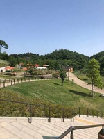 ケルナー広場