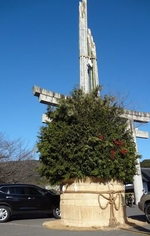 橘神社（橘公園）