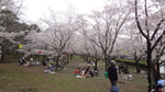 橘神社（橘公園）