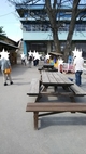 ばん馬と触れ合える貴重な施設　の写真s
