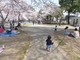 高崎公園 高崎市で歴史の長い、穴場の公園。花見もいいけど初夏もおススメ！
