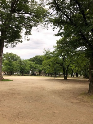 高崎公園のおすすめポイントや地図 体験レポート1件 1 1 Kids Play キッズプレイ