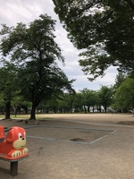 高崎公園の写真u