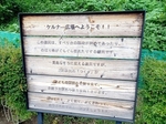 ケルナー広場