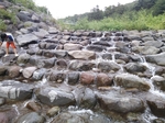 沼尾川親水公園