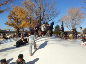 国営昭和記念公園 大きなふわふわドームが沢山ある公園 の体験レポート Kids Play キッズプレイ