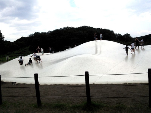 国営武蔵丘陵森林公園 日本一大きいふわふわドーム の体験レポート Kids Play キッズプレイ