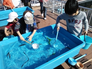 横浜 八景島シーパラダイス アクアリゾーツ うみファーム 共存とは 想像以上にためになります ランク上位 の体験レポート Kids Play キッズプレイ