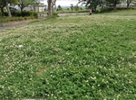 袖ヶ浦公園の写真r