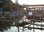 清水公園 フィールドアスレチックの写真h