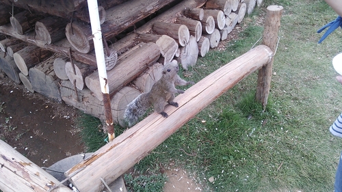 牛久大仏 結構あり 子どもと一緒に大仏参拝 の体験レポート Kids Play キッズプレイ