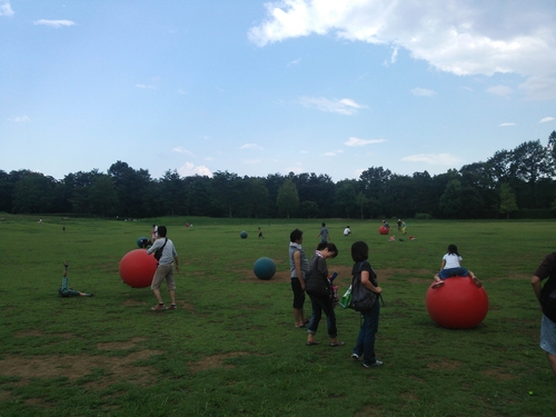 国営武蔵丘陵森林公園 大きな広場で大きなボールを転がそう の体験レポート Kids Play キッズプレイ