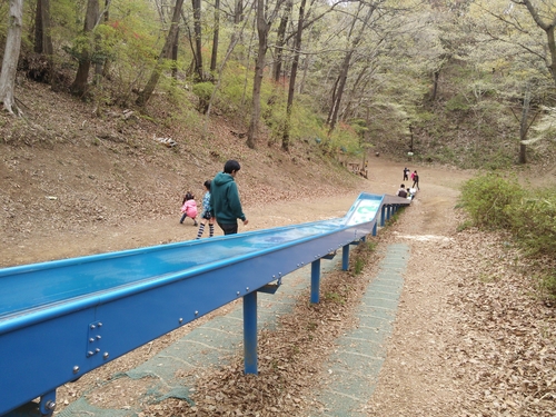 水戸森林公園 絶叫ローラー滑り台を求めるならここがお勧め の体験レポート Kids Play キッズプレイ