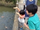 茨城県フラワーパーク たまにはお花観賞☆鯉のエサやりも楽しいよ！！