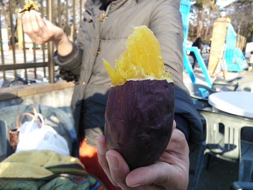 伊勢崎市華蔵寺公園遊園地 幼児から小学生まで楽しめるリーゾナブル遊園地 焼いももおいしいよ ランク上位 の体験レポート Kids Play キッズプレイ