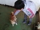 【秘境】ふれあいというか超放し飼い動物園の写真m