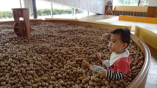 室内遊園地で 長崎県 の子どもと一緒に遊べる遊び場の写真検索結果 1ページ目 Kids Play キッズプレイ