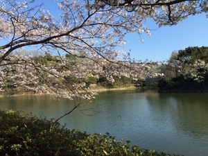 県立三ツ池公園のおすすめポイントや地図 体験レポート1件 12 1 Kids Play キッズプレイ