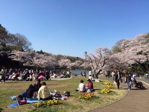 県立三ツ池公園のおすすめポイントや地図 体験レポート1件 12 1 Kids Play キッズプレイ