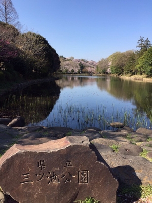 県立三ツ池公園のおすすめポイントや地図 体験レポート1件 12 1 Kids Play キッズプレイ