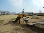 永野川緑地公園の写真v