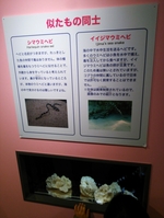 しながわ水族館