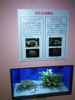 しながわ水族館