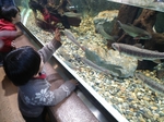 しながわ水族館