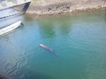 いおワールド・かごしま水族館