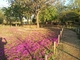 自転車で手賀沼周辺の公園めぐりしましたの写真y