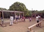 千葉県立柏の葉公園